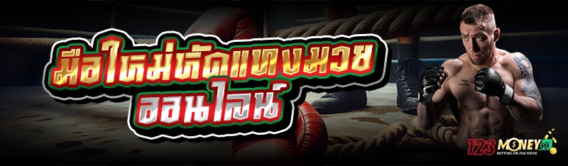 มือใหม่หัดแทงมวยออนไลน์ 