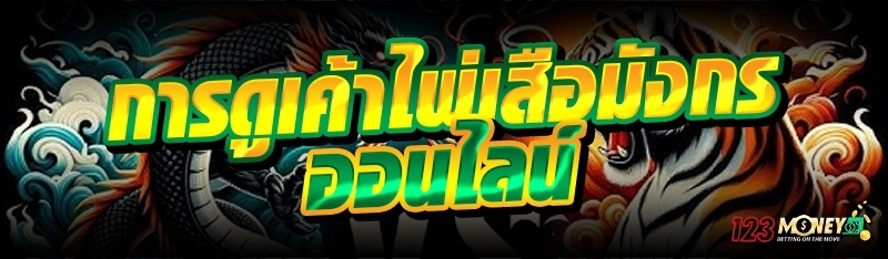 การดูเค้าไพ่เสือมังกรออนไลน์ 