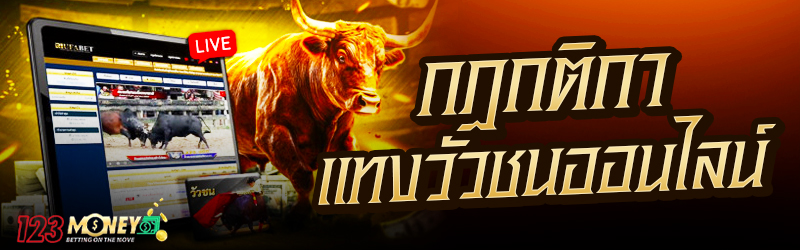 กฎกติกาแทงวัวชนออนไลน์