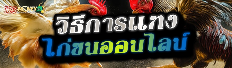 วิธีการแทงไก่ชนออนไลน์ 