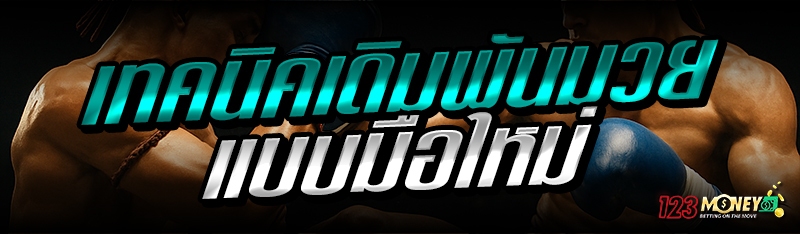 เทคนิคเดิมพันมวย แบบมือใหม่