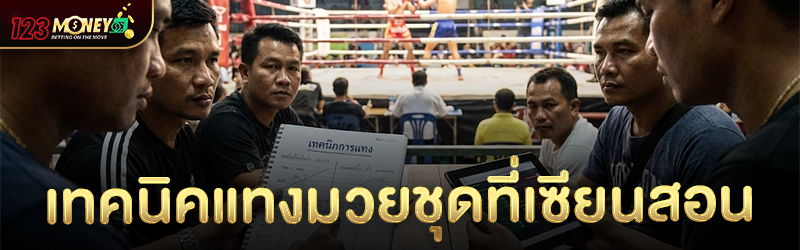 เทคนิคแทงมวยชุดที่เซียนสอน