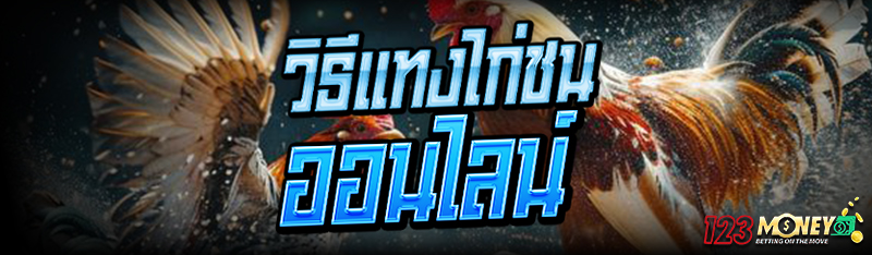 วิธีแทง ไก่ชนออนไลน์