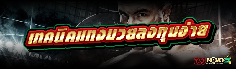 เทคนิคแทงมวยลงทุนง่าย 